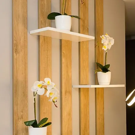 Apartment Modern Seaside Retreat 1bd By Flat Mаnager Varna